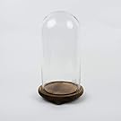 Bell Jar Dome Cloche with Rustic Wooden Base, Decorative Display, 13” x 7”